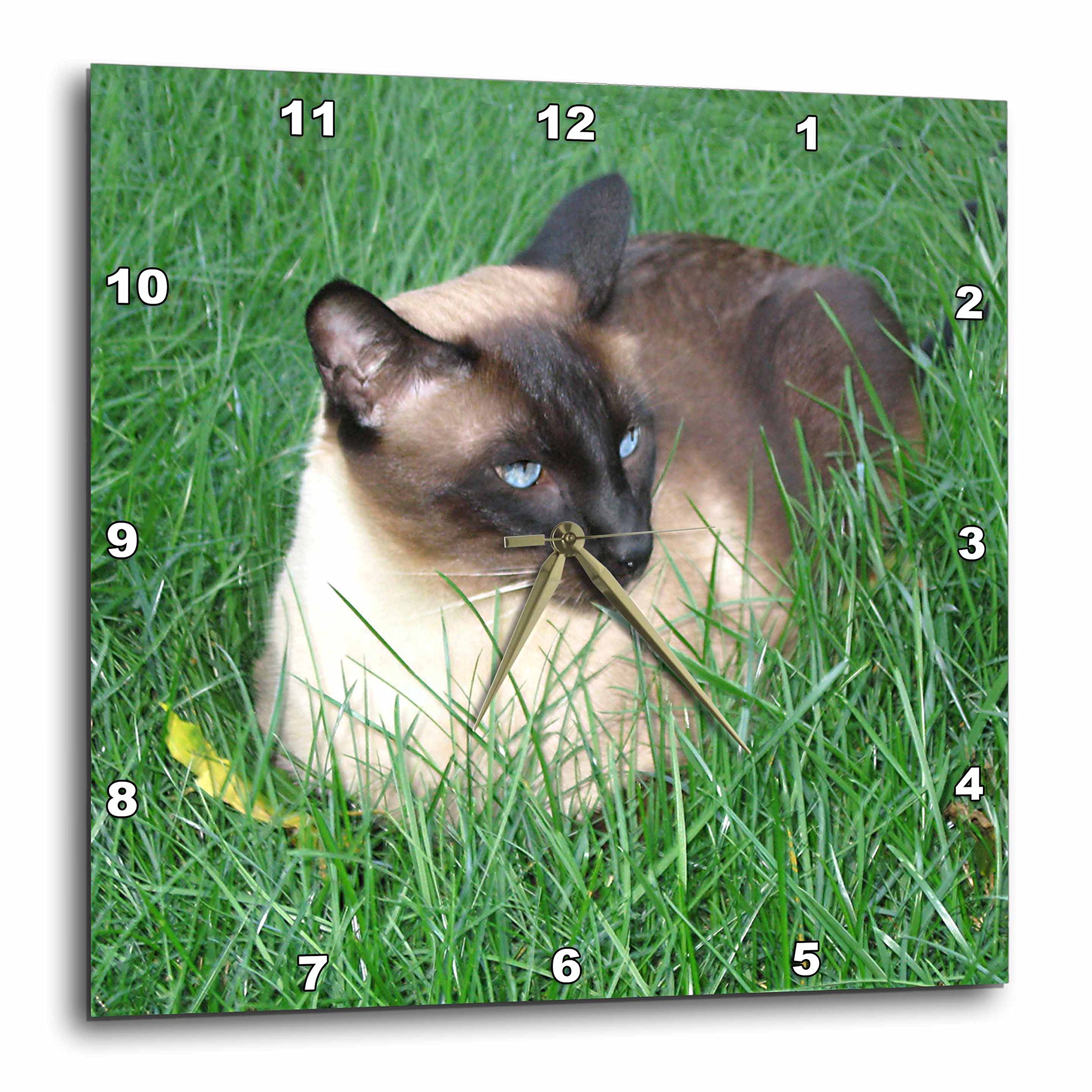 3dRose LLC dpp_4496_1 Siamese Cat 10 by 10-Inch Wall Clock