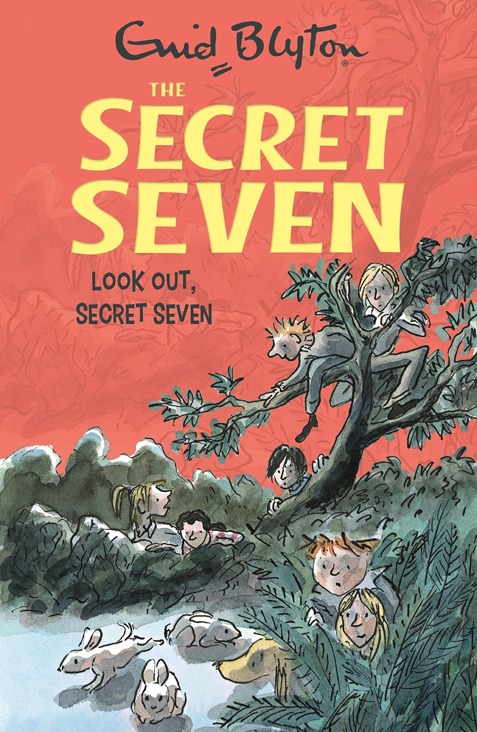 Look Out, Secret Seven: Book 14