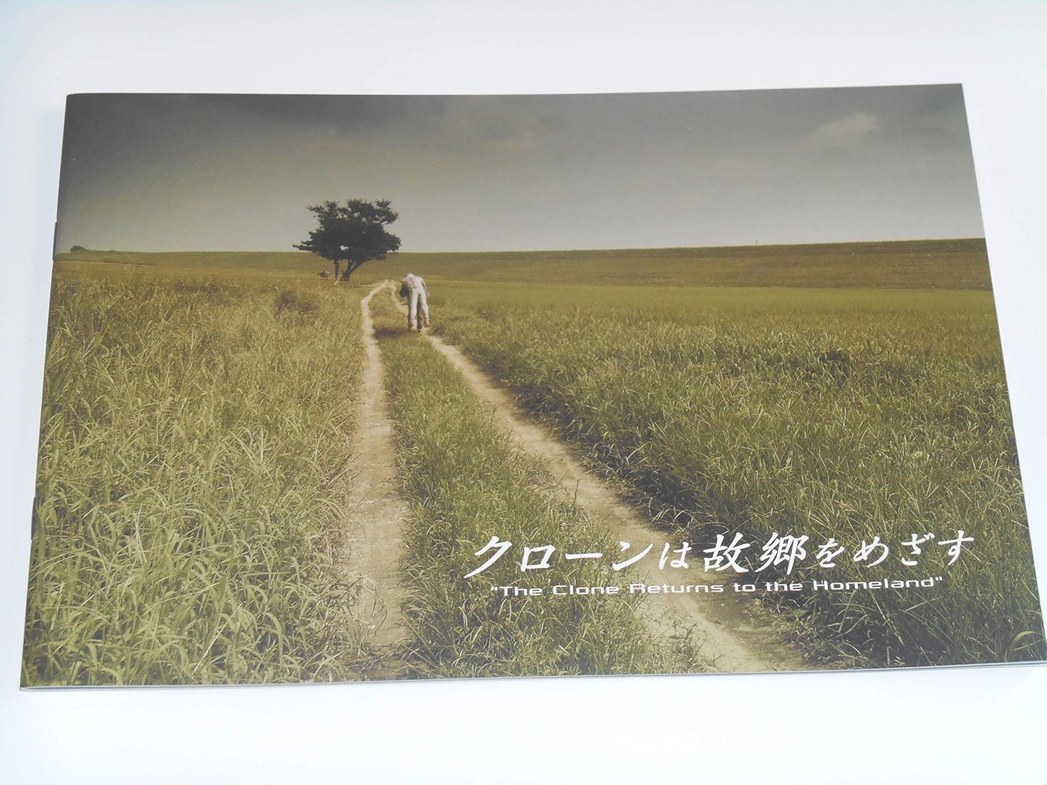 Amazon.co.jp 映画パンフレット クローンは故郷をめざす 及川光博 永作博美 石田えり おもちゃ