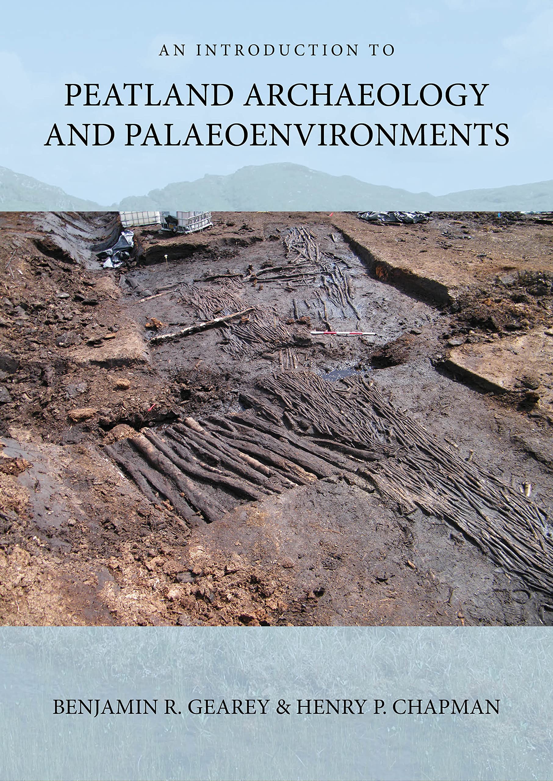 Somerset's Peatland Archaeology: Managing and Investigating a Fragile Resource