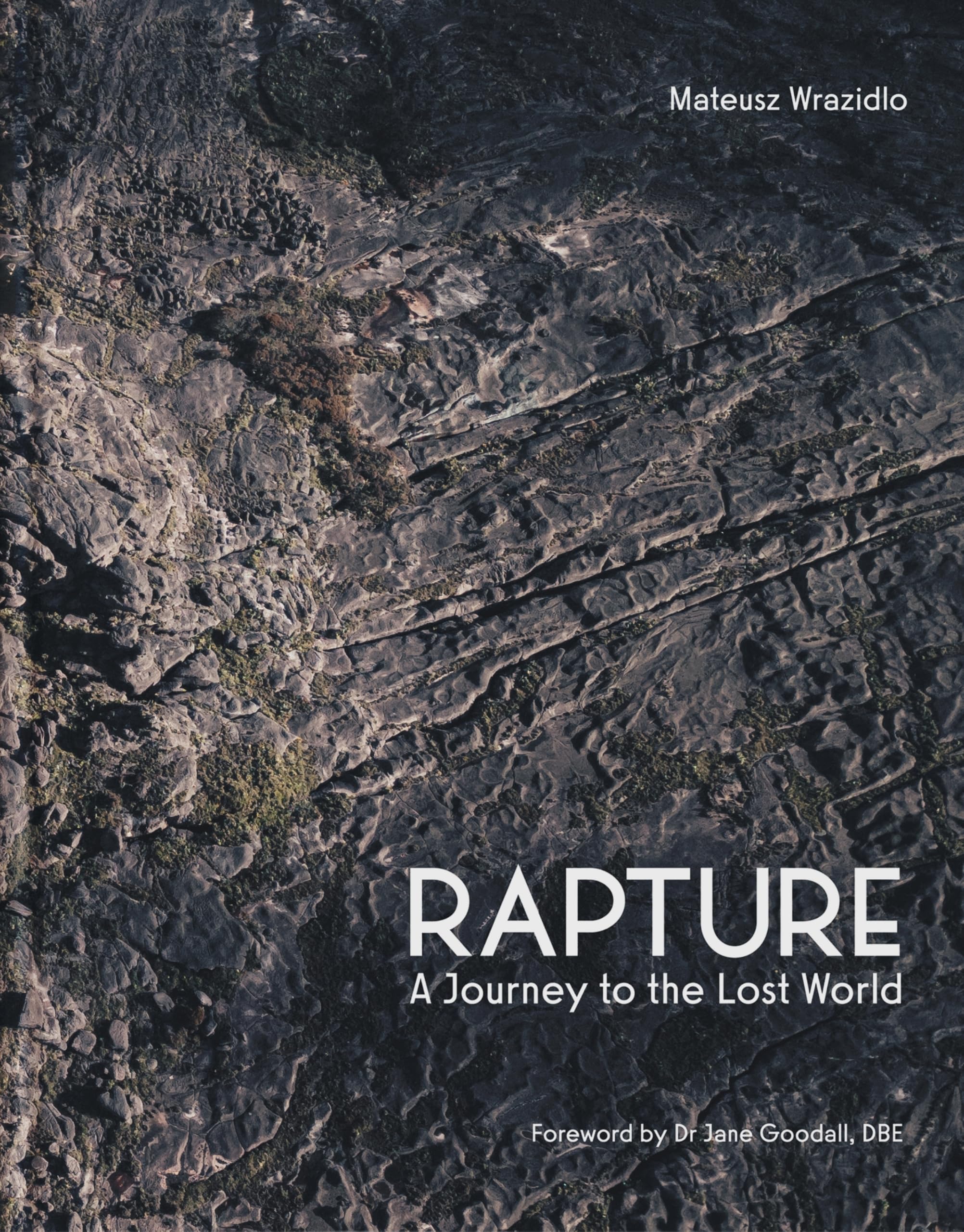 Rapture: A Journey to the Lost World