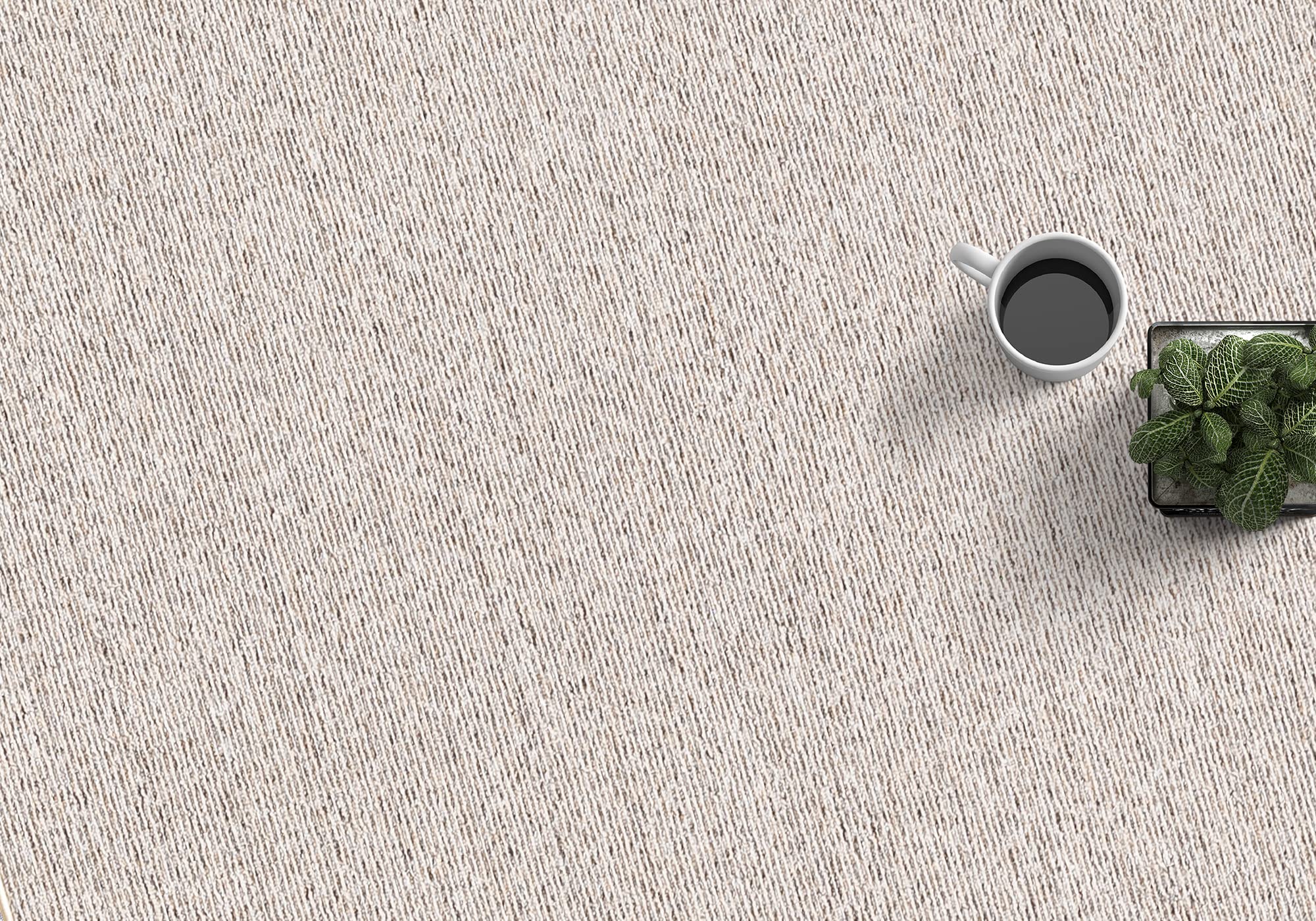 the carpet Natal Tappeto moderno tinta unita per soggiorno, tufting, robusto pelo corto con retro in feltro, morbido e facile da pulire, beige, 240 x 340 cm