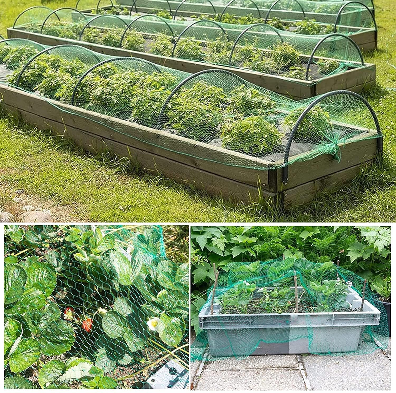 Anti Bird Net - Protect Plants & Garden -6