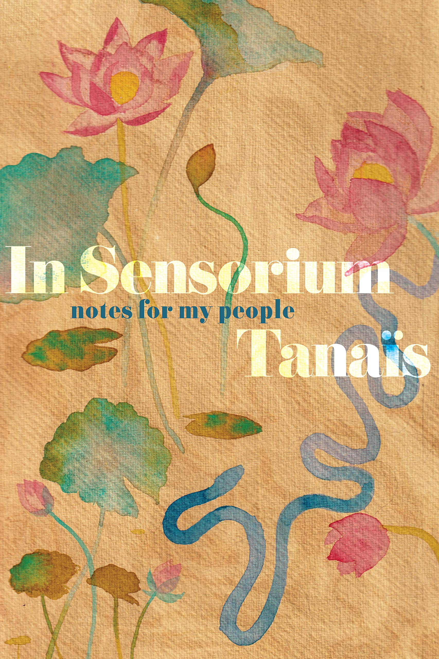 IN SENSORIUM: Notes for My People