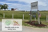 Vista 7 de Alimento para potbelly y mini cerdo sin OMG, 12% de proteína para cerdos maduros, fortificado con vitaminas A, D, E, minerales y algas, bolsa de 40