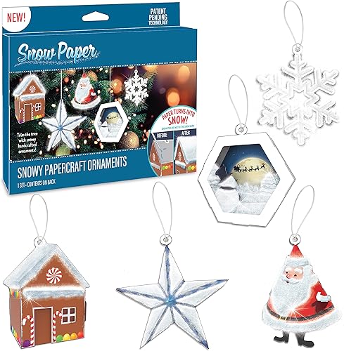 Decoraciones de invierno de papel de nieve Haz 13 adornos cubiertos de nieve Decoraciones de fiesta de Navidad 2 hojas perforadas, cuerda
