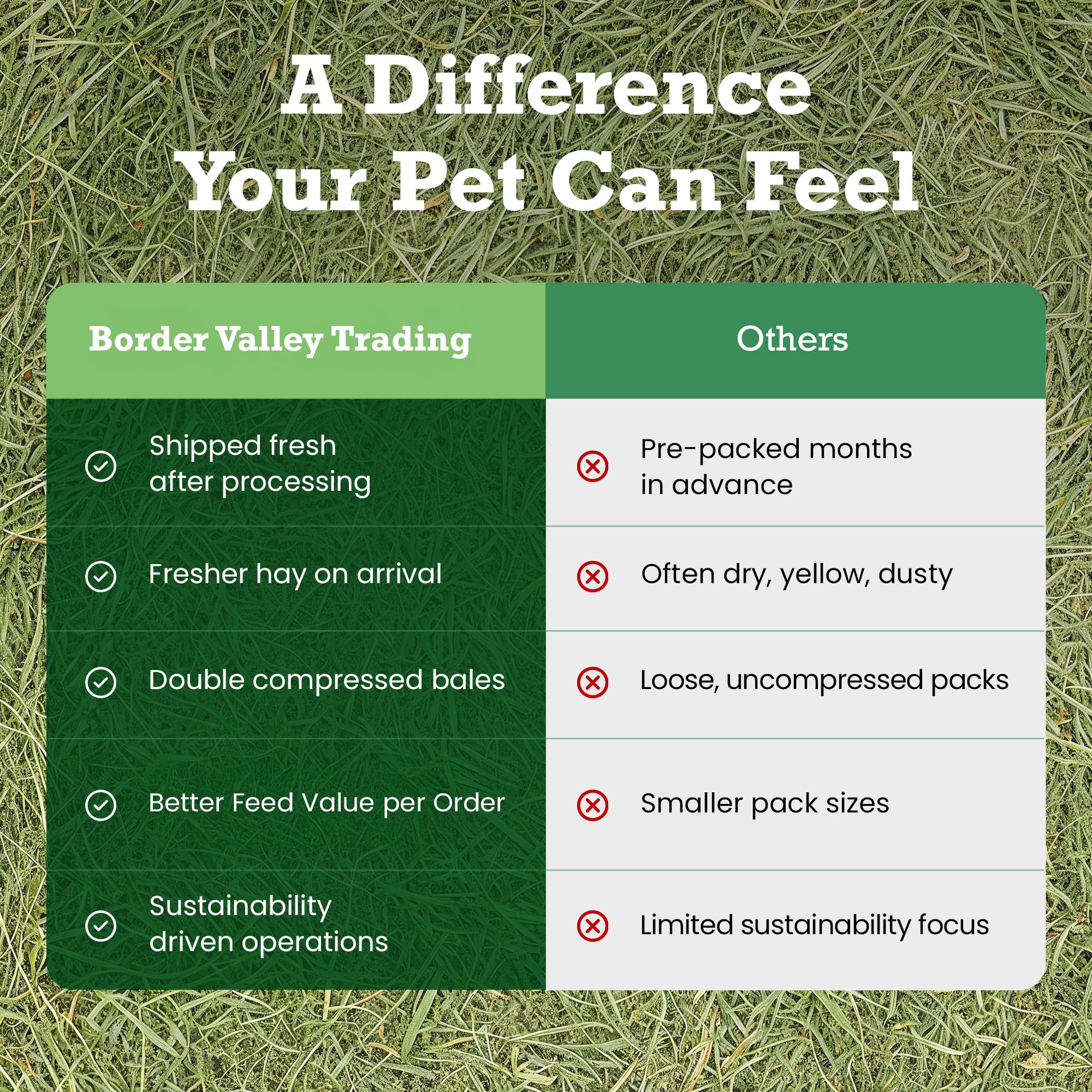 Border Valley Alfalfa Hay Bale in Bag, 40 lb - High Fiber Hay for Rabbits, Guinea Pigs, Chinchillas, Tortoises, Horses and Livestock - Protein-Rich Plant-Based Nutrition, Farm-to-Home Freshness - image 5