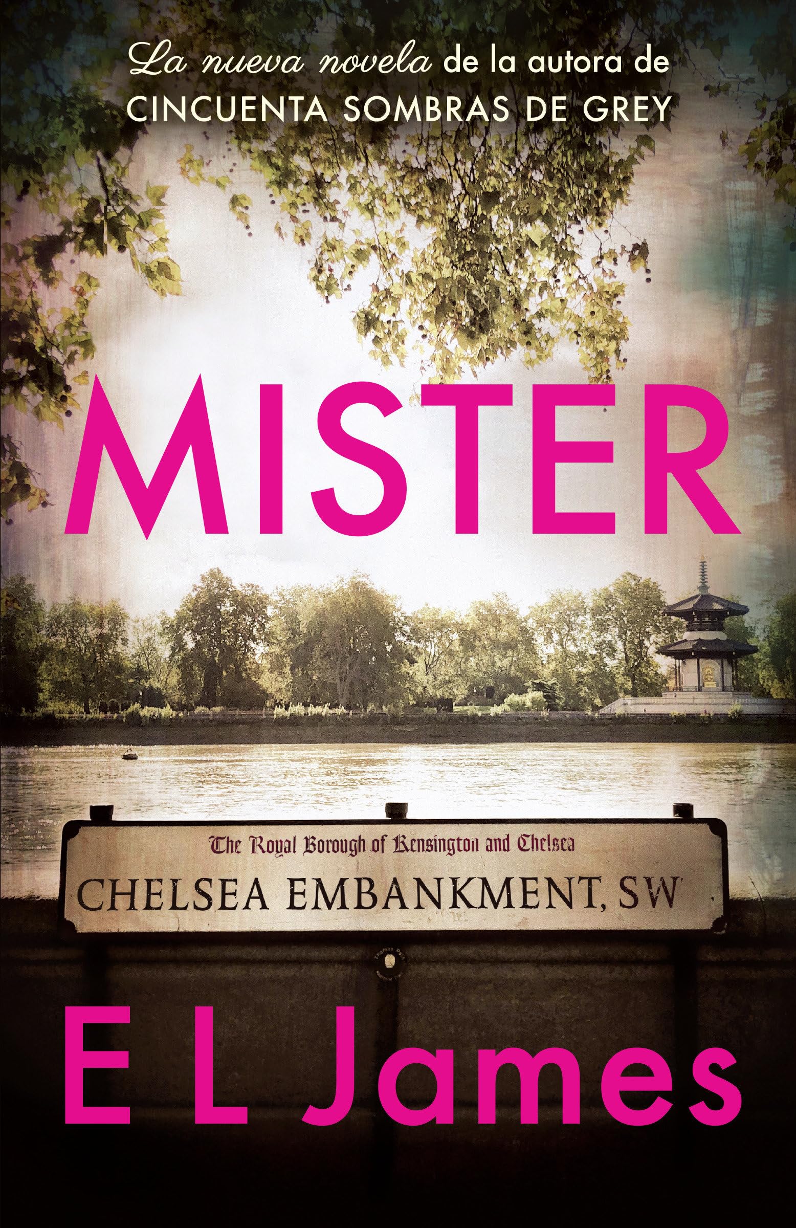 Mister / The Mister (Spanish Edition)