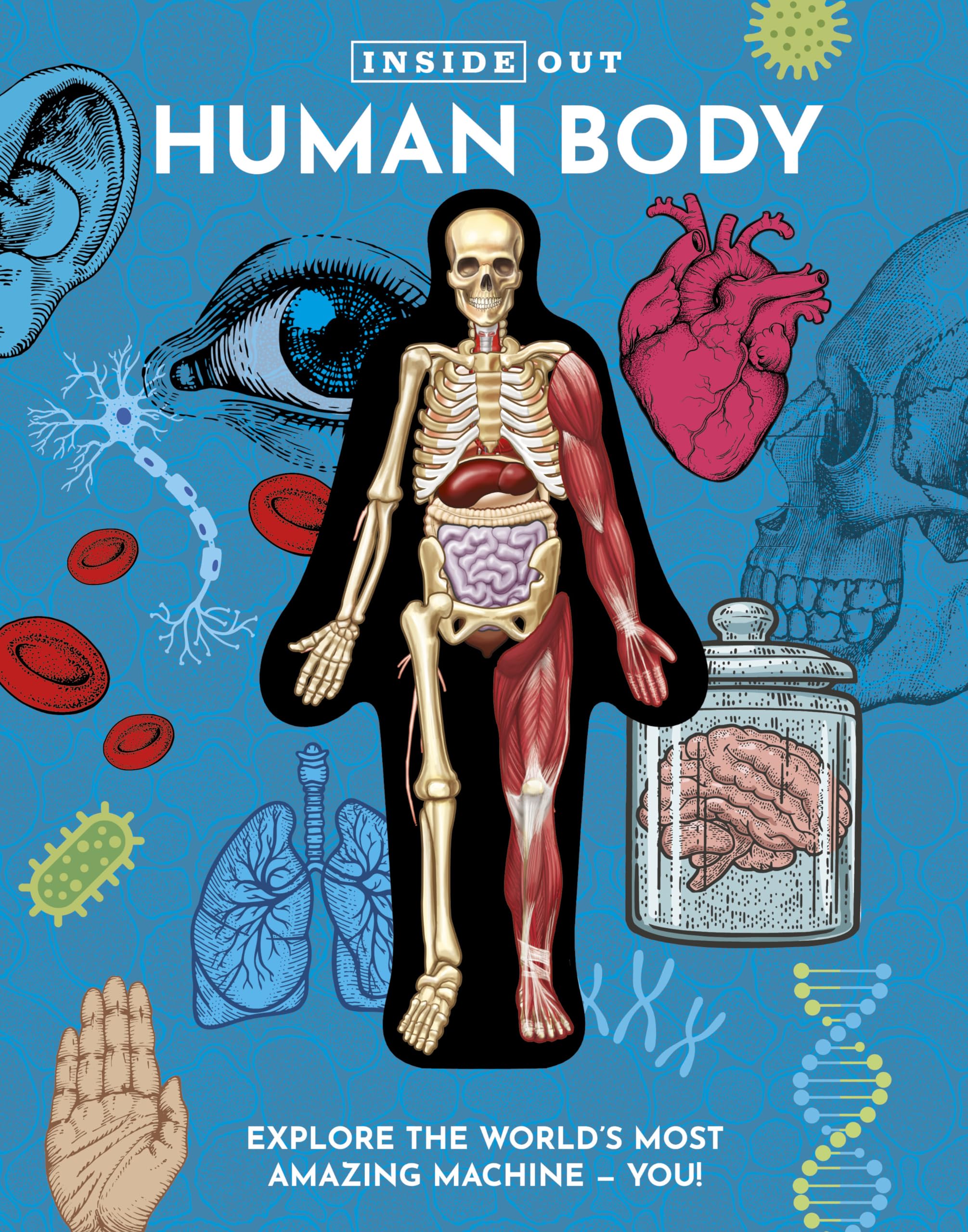 Inside Out Human Body: Explore the World's Most Amazing Machine - You! (Inside Out, Chartwell)