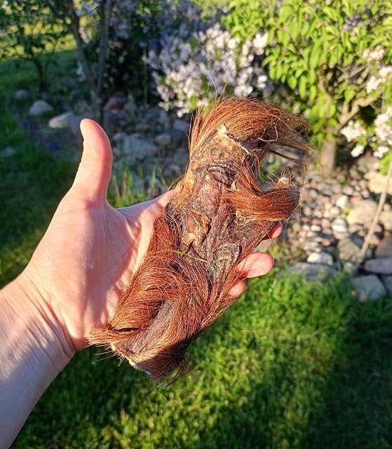 Foto 4 de 8 de Piel de caballo seca para perros, artículo masticable para perros del caballo