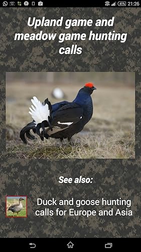 Bird hunting calls
