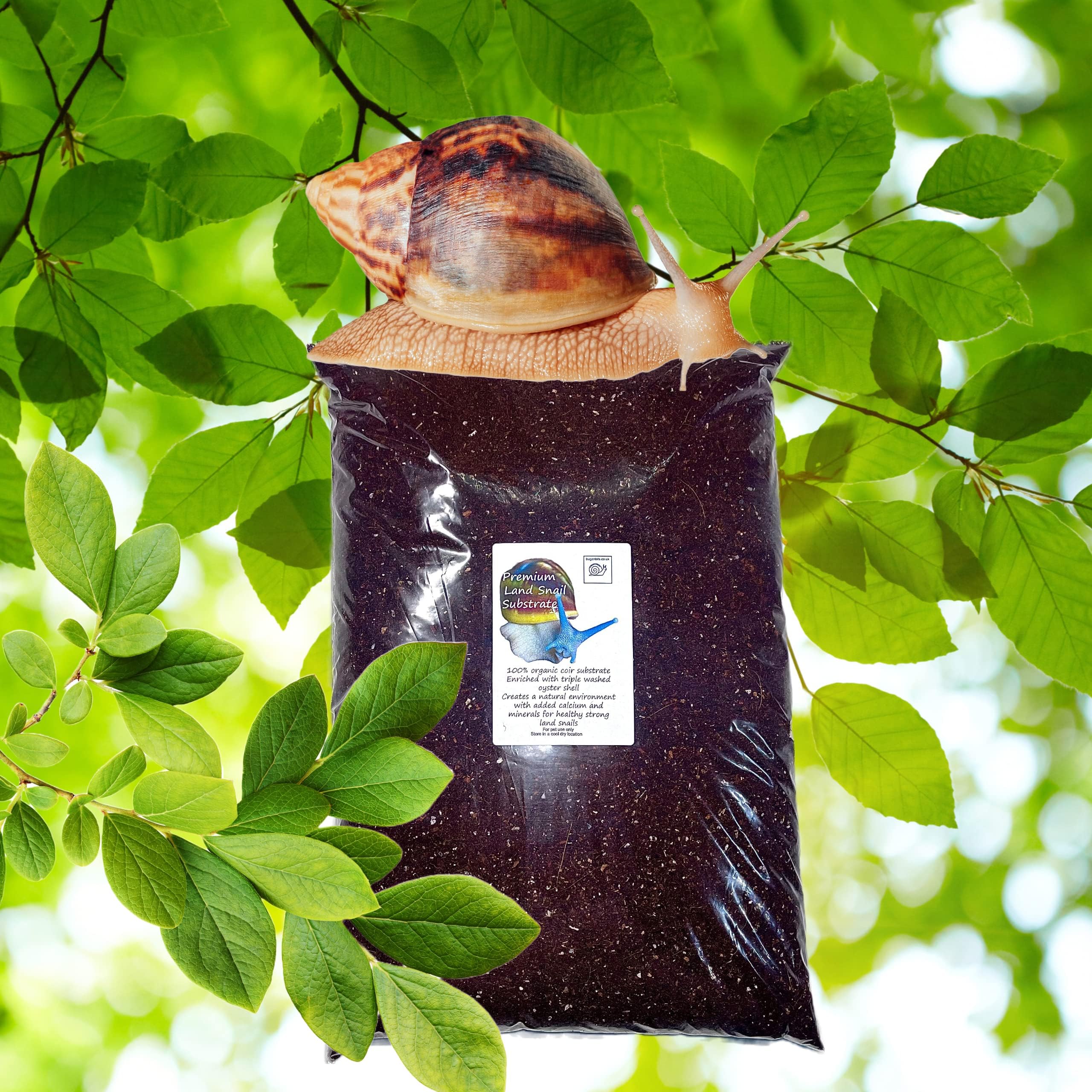 Premium Land Snail Substrate. African land snail substrate, coco coir (3 litre)