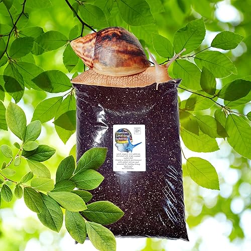 Bugznbits Premium Land Snail Substrate. African land snail substrate, coco coir (3 litre) - 3 litre