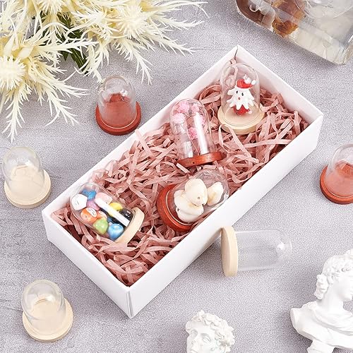 Miniatura 5 de NBEADS 10 juegos de mini cúpula de cristal de flor eterna, vitrina de vidrio transparente con 2 colores base de madera para el día de San Valentín,