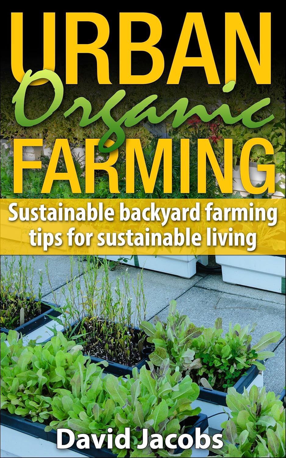 Urban Organic Farming Sustainable Backyard Farming Tips for Self