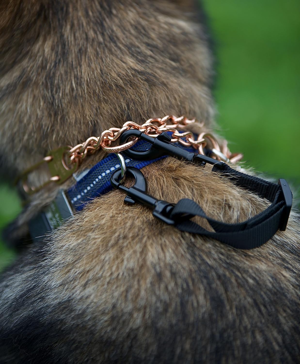 HS Herm. Sprenger Prong Collar Safety Clip (Black) 6"-8" - Pack of 1 Dog Leash Safety Strap - Enhanced Durability for Secure Leash Connection - Ideal for Safe Walk and Training image 2