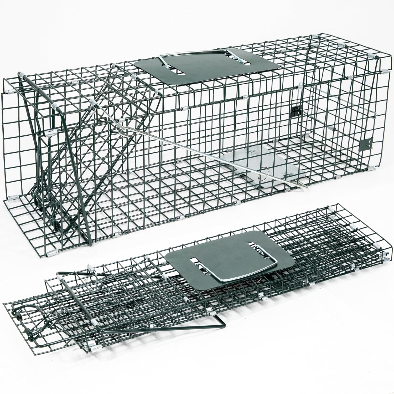Steel Rabbit Traps Amazon.com : HOMESTEAD 24 Inch Heavy Duty Collapsible Live Animal Trap ...