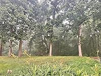 Review Image by Kristin Kristin