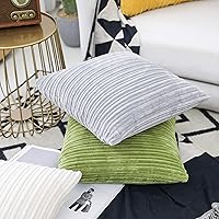Vista 480 de UGASA - Juego de 2 fundas de almohada de terciopelo a rayas, funda decorativa para cojín con cremallera oculta para el hogar, sofá, dormitorio
