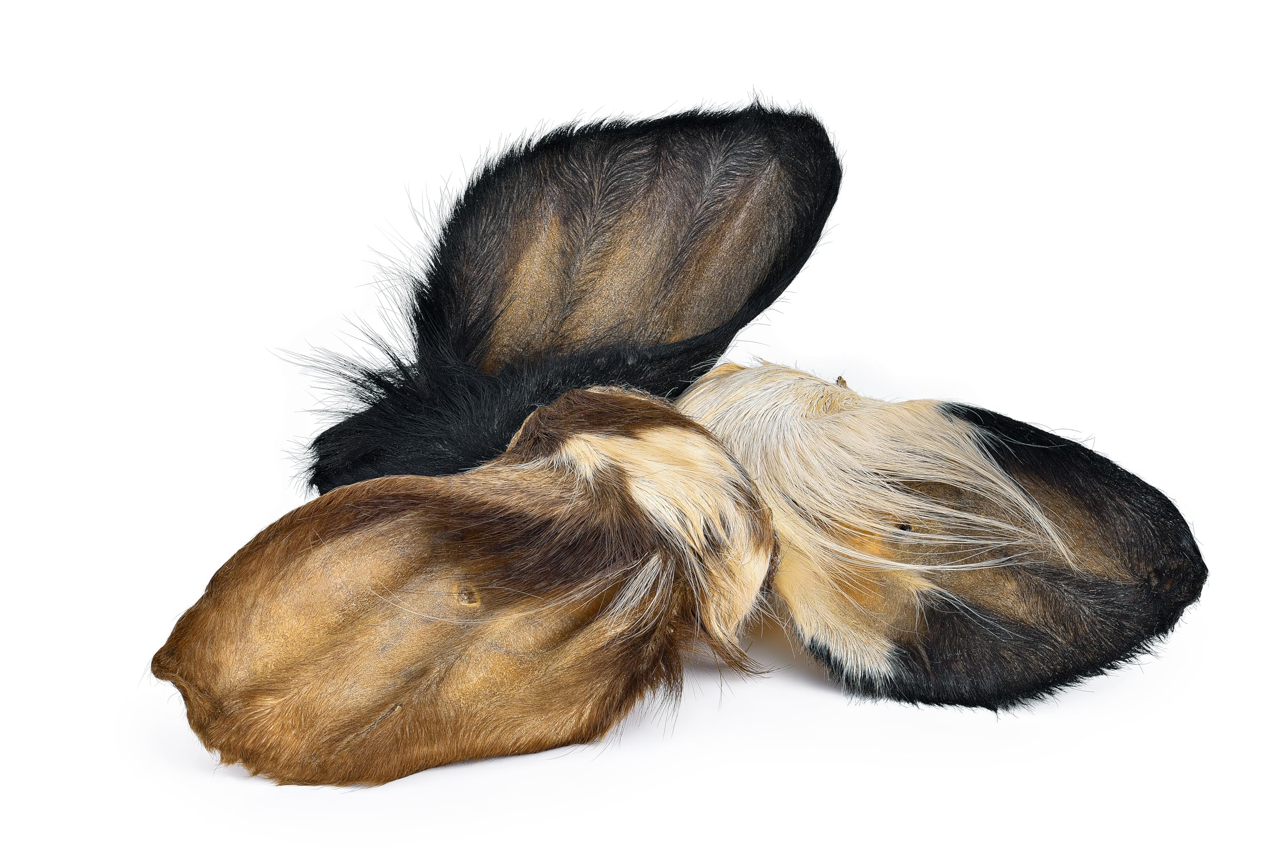 Rinderohren Mit Muschel Xl – Arcos Barf Selection