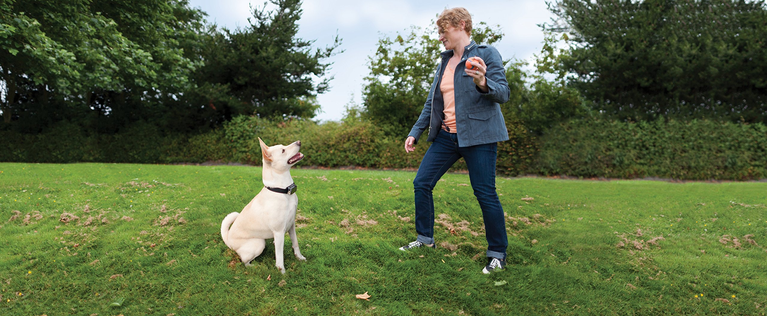 petsafe elite big dog bark control