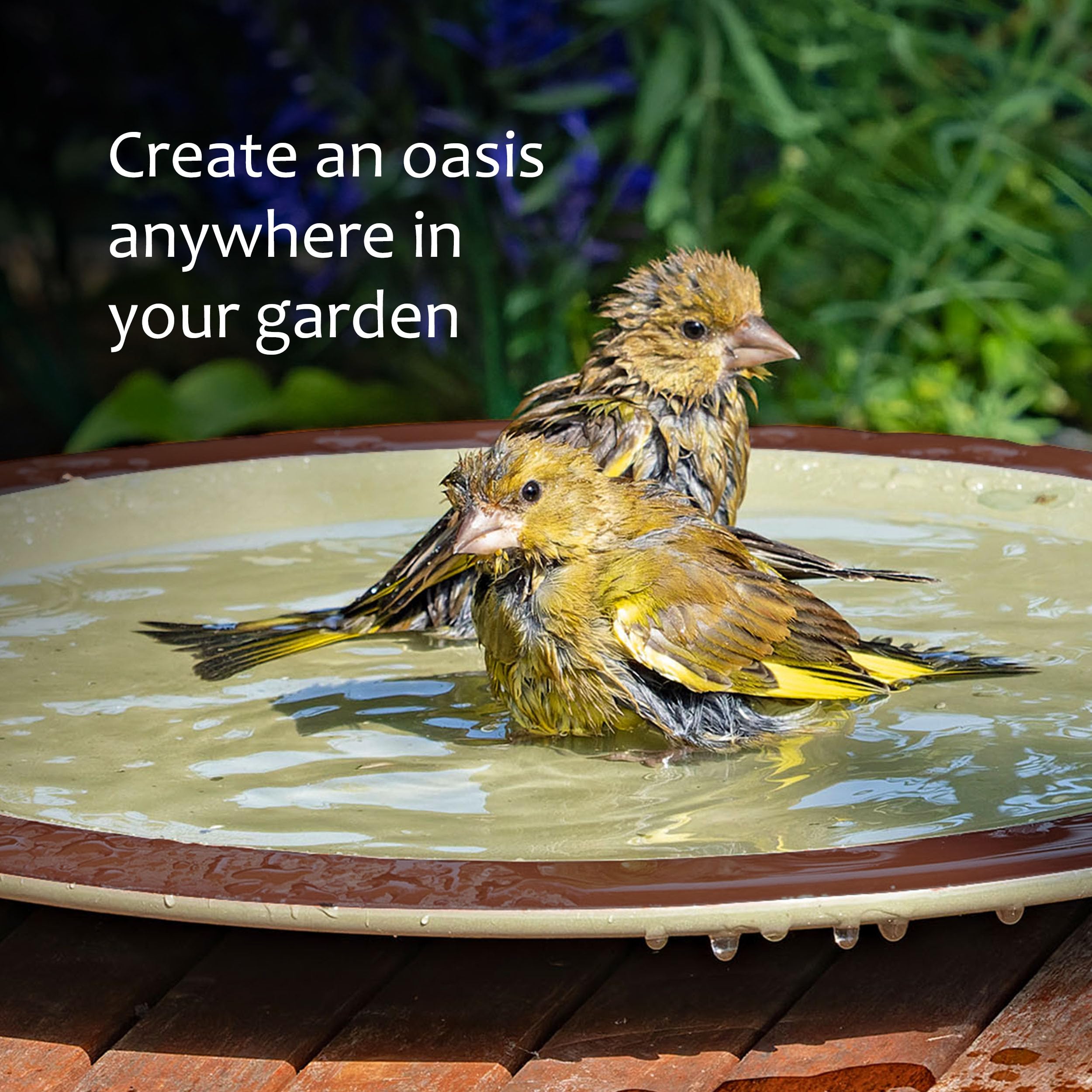 Jacobi Jayne Vogeltränke für Gartenvögel Anyplace™ Vogeltränke - Keramik Garten Vogeltränke und Wildtiertränke - Perfekte Vogeltränke für Garten Vogelwasserspender und Vogeltränke Schale Vogeltränke