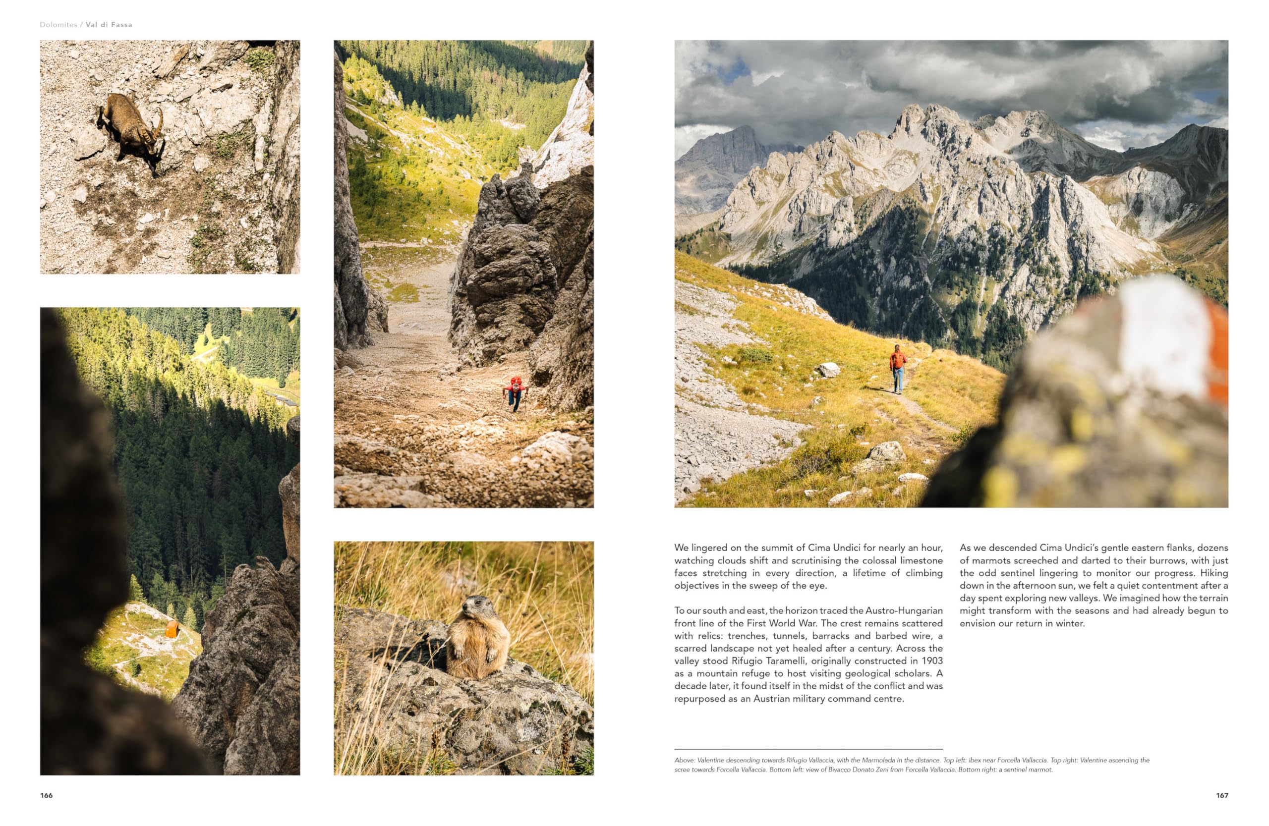 Cabin wild - alpine bivouac huts volume 2 : east - mont blanc to the dolomites