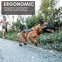 Vista 5 de Non-stop dogwear Freemotion Arnés 5.0 - Arnés de tracción para perros para deportes como correr, ciclismo y esquí con perros, arnés ajustable