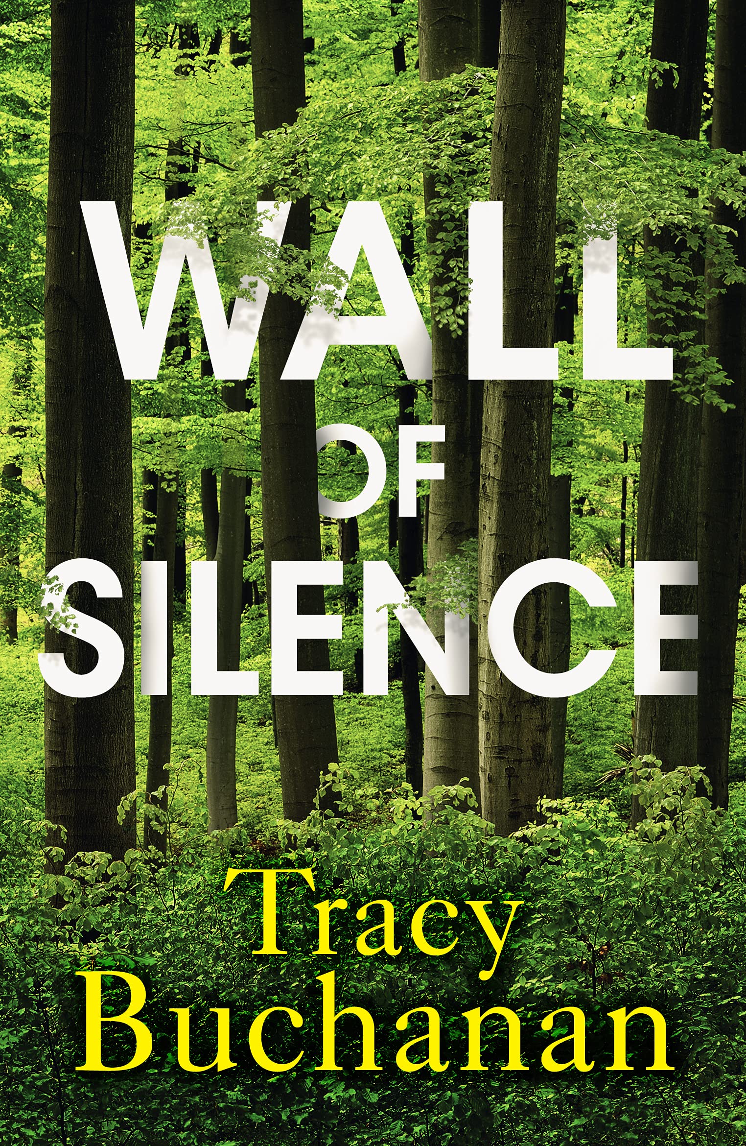 Lake Union Publishing Wall of Silence Paperback – Big Book, 1 April 2020