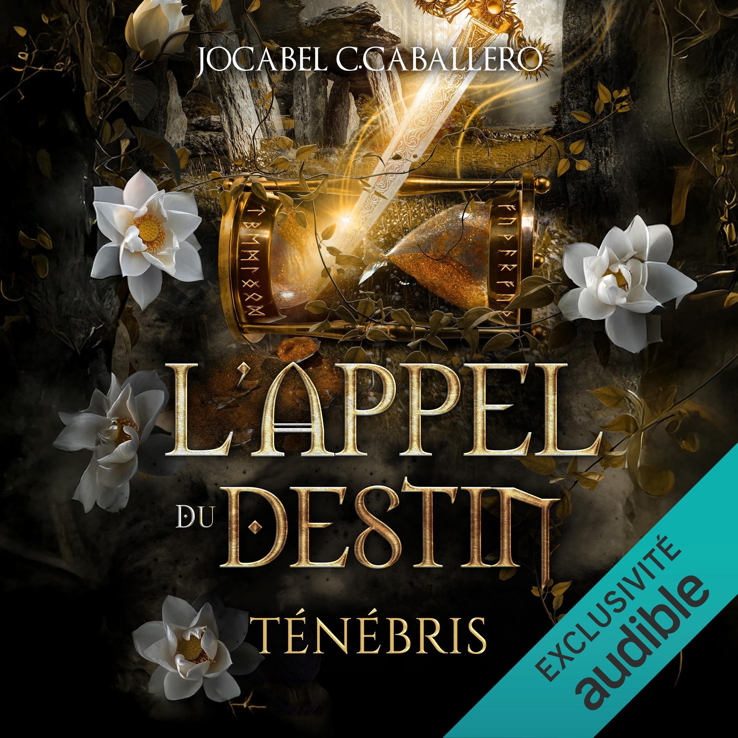 Cover art for L'Appel du Destin