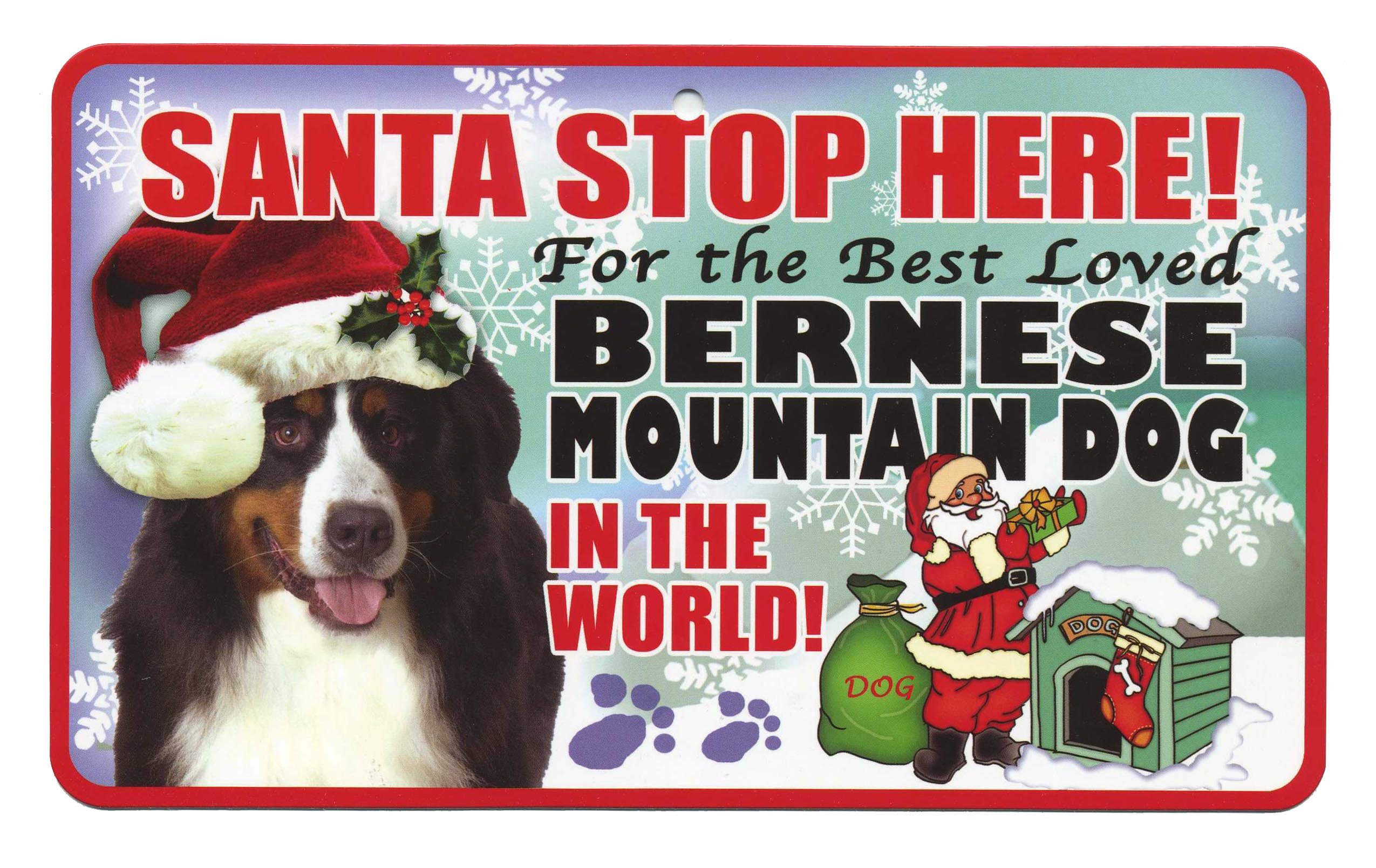 Instant Gifts Pet Santa Signs Bernese Mountain Dog Santa Stop Here For The Best Loved Dog In The World - Christmas Sign (Bernese Mountain Dog)