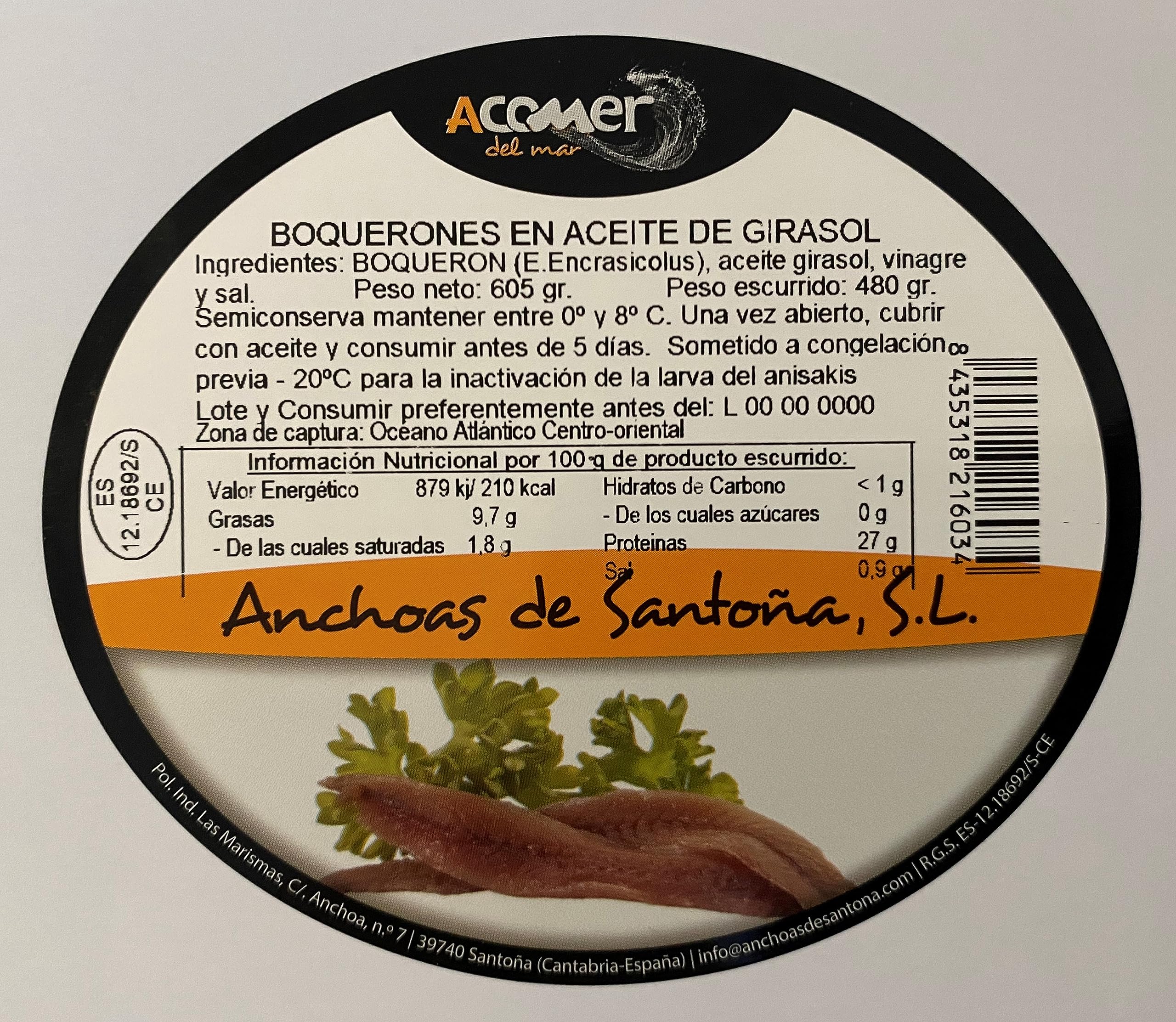 Boquerones en vinagre TP700