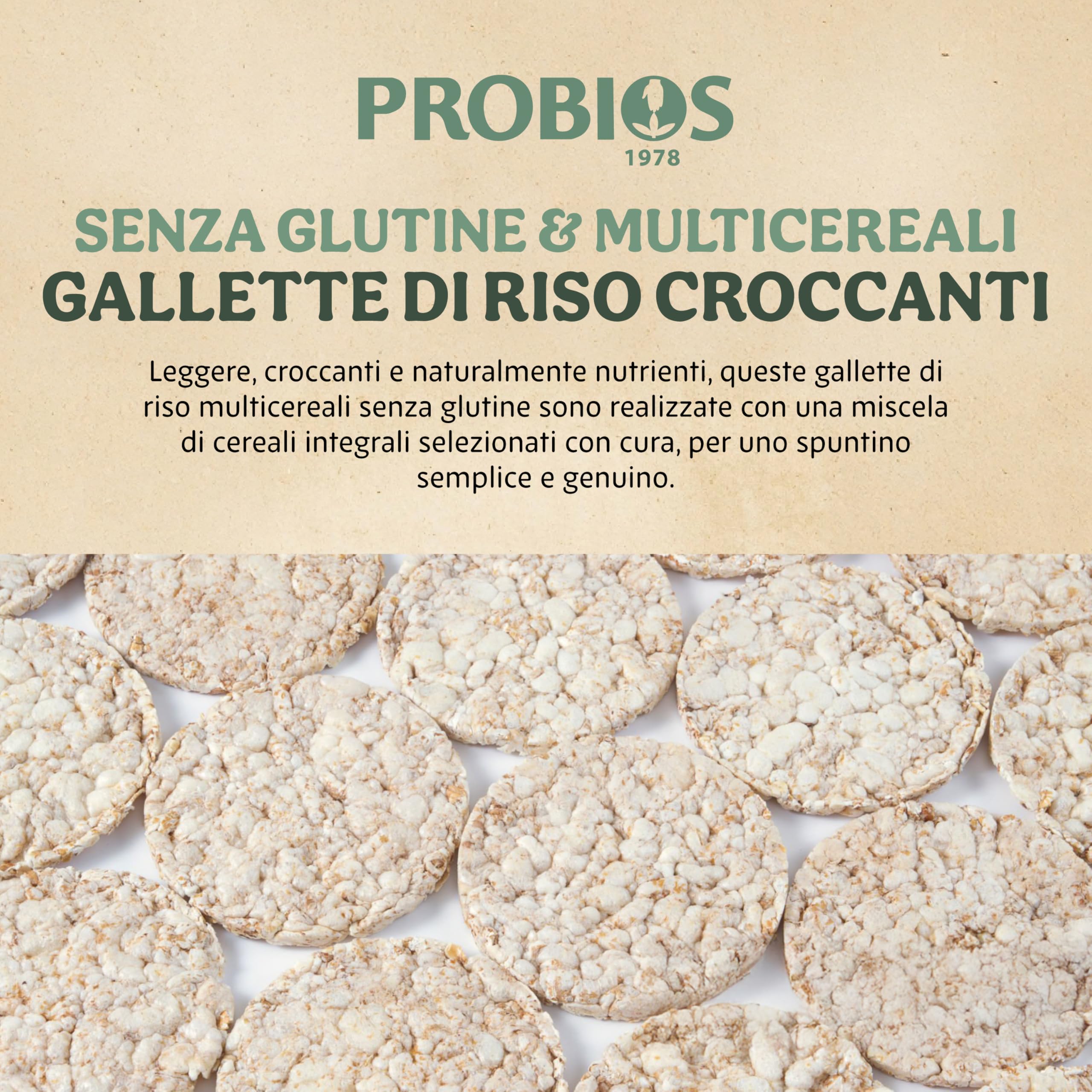 Probios Rice&Rice Tortitas de Arroz con Cereales 12 x 100 gr 1200 gr