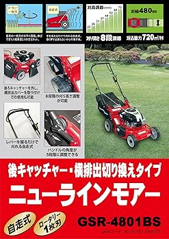 91llKtMvIvL._AC_UF350,