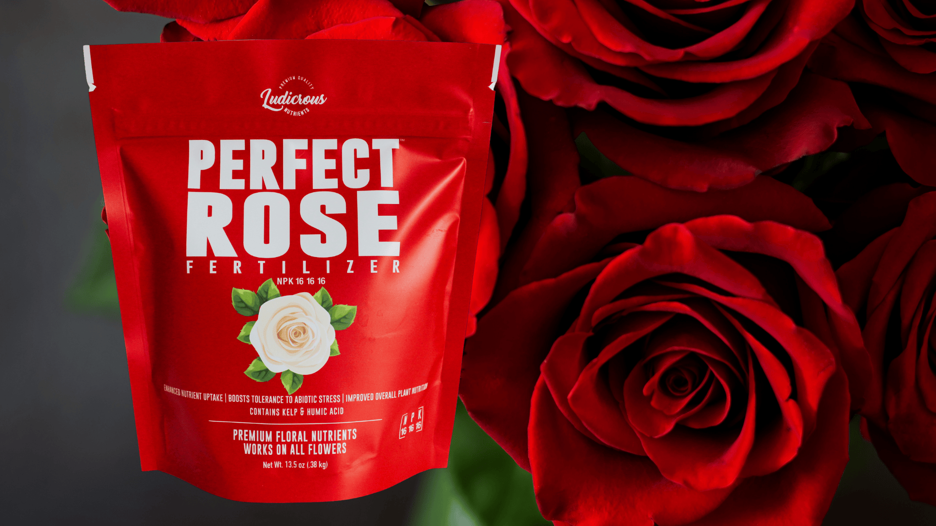 Amazon.com : Perfect Rose Fertilizer  Premium Rose and Flower Fertilizers   Floral Nutrients for All Types of Flowers  Plant Nutrients with Kelp for  Soil and Hydroponic Flower Gardens Large 3