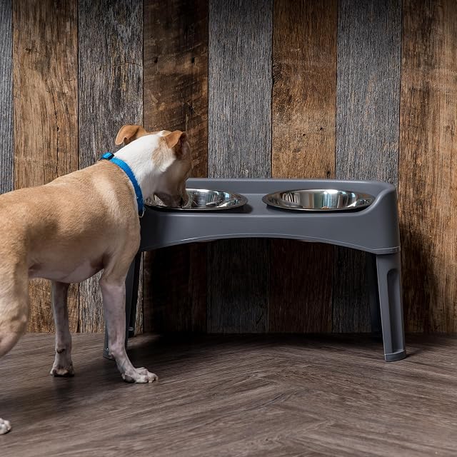 Foto 3 de 7 de Iris Ohyama, Cuencos Dobles elevados con Soporte Desmontable para Perros con Movilidad Limitada, Cuencos…