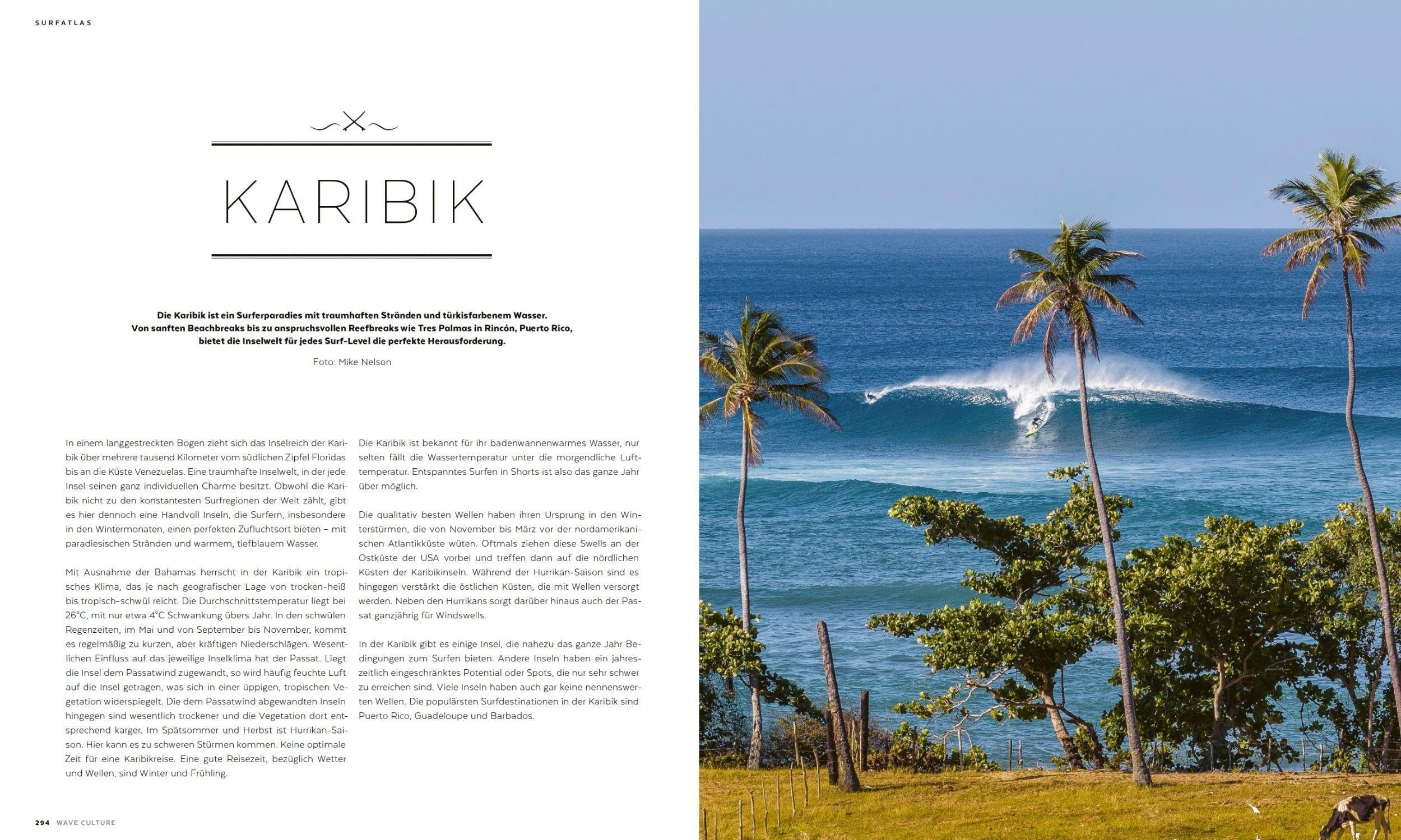 WAVE CULTURE Surfcoach: Trainingsbuch und Travelguide für Wellenreiter
