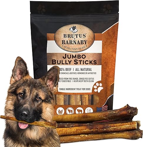BRUTUS & BARNABY Bully Sticks jumbo para perros grandes, sin hormonas añadidas y sin granos, matón de bajo olor, grandes, gruesos, huesos de matón disponible en Yaxa Venezuela