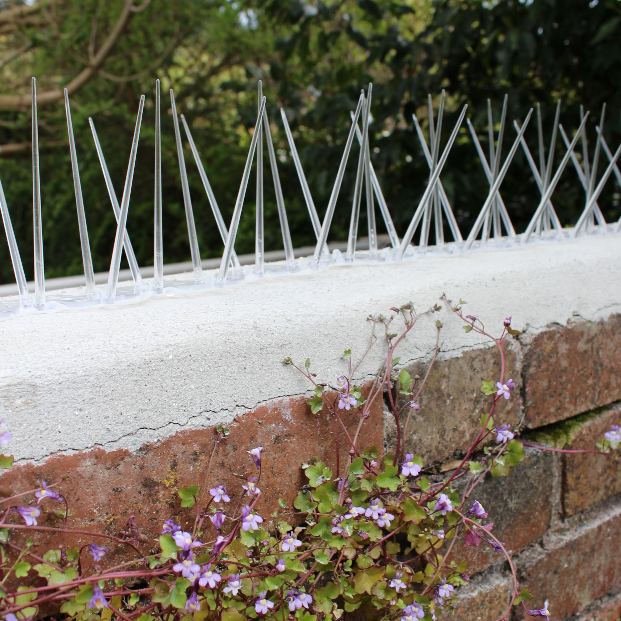 Defender Bird Spikes | Ampio deterrente per piccioni in plastica | 5 metri con silicone di fissaggio Defender