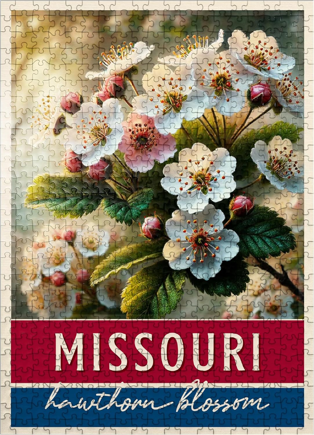 MyPuzzle State Flowers Series: Missouri, Hawthorn Blossom - Premium 500 Piece Jigsaw Puzzle for Adults