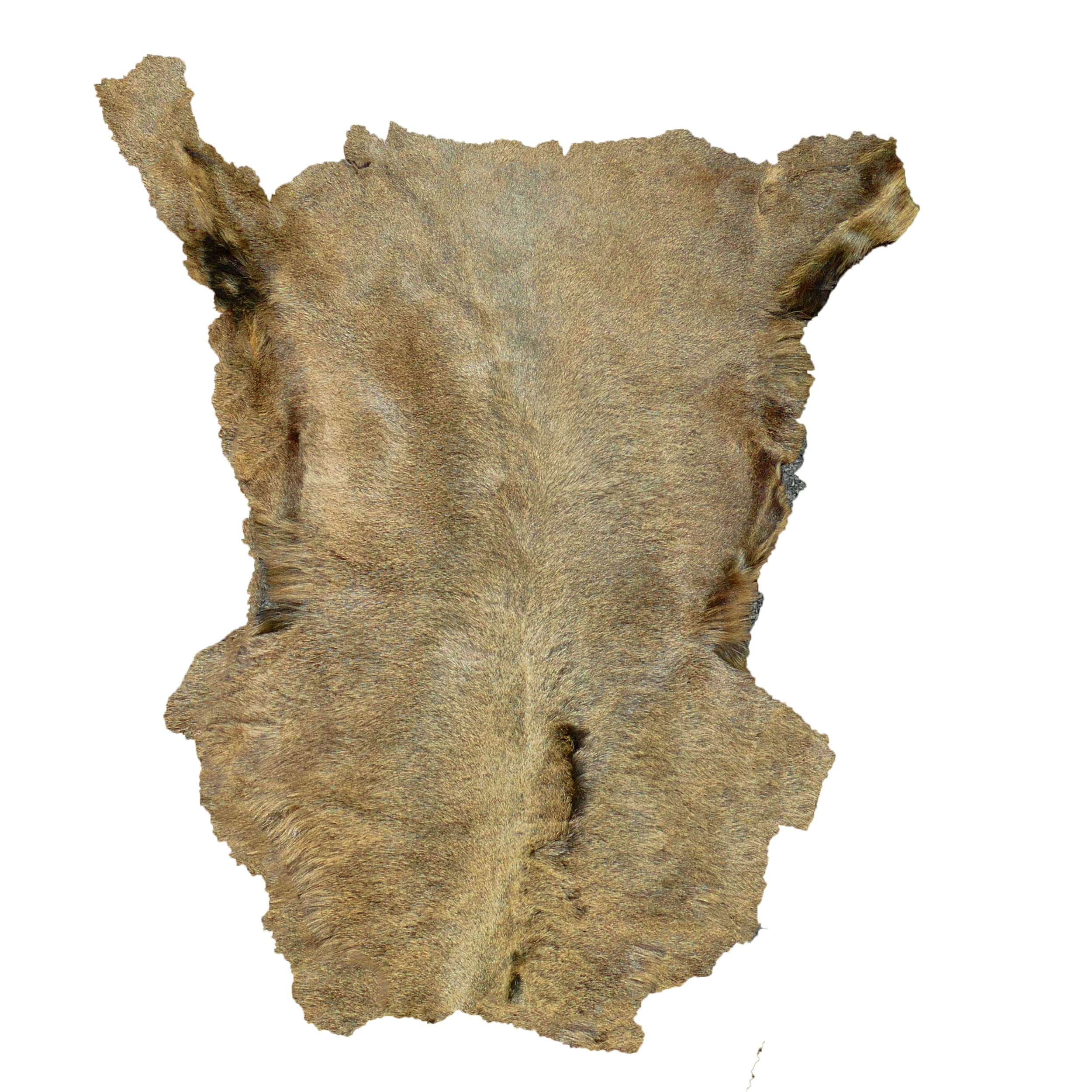 Glacier Wear Sheared Tuscan Lamb - Moss Brown (2-3 sq.ft.)