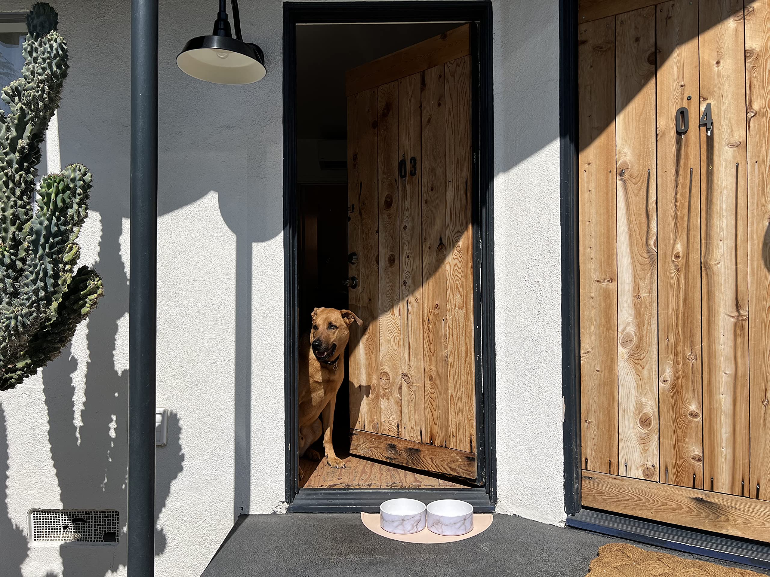 Should We Go? Tapis de nourriture en silicone imperméable pour animaux de compagnie – Tapis antidérapant et anti-déversement pour sols, bord surélevé, tapis facile à nettoyer pour gamelles pour chien