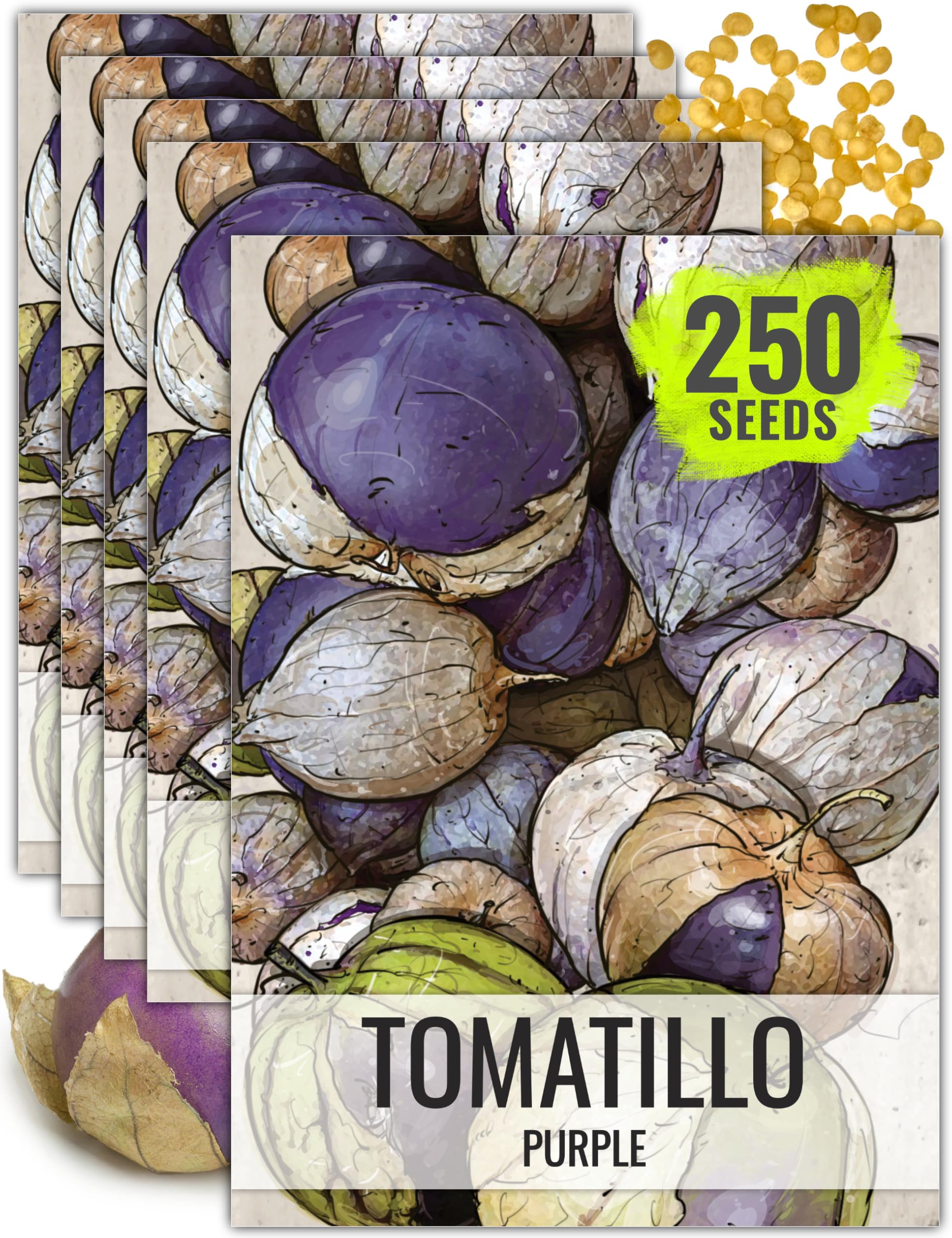 Seed Needs Purple Tomatillo Seeds to Plant Heirloom & Non-GMO 5 Pack