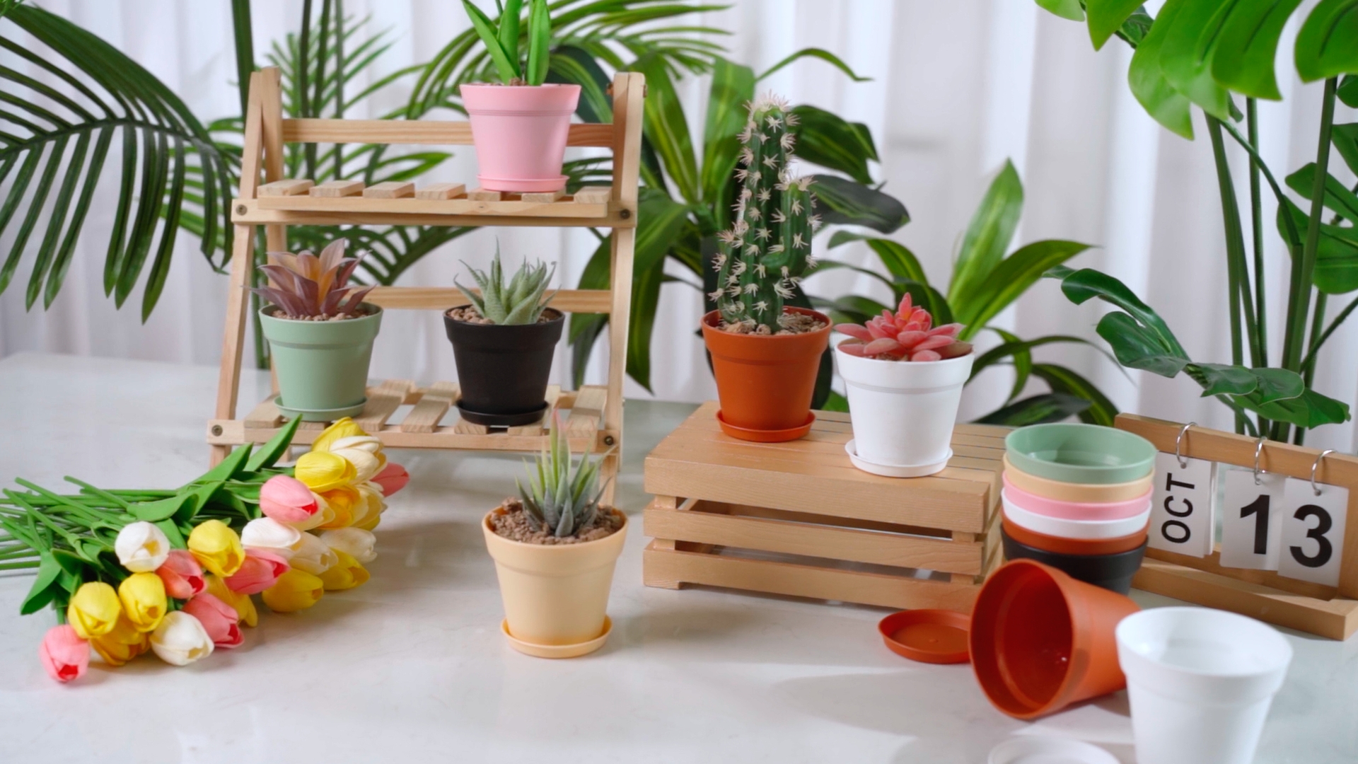 Amazon.com: Mumufy 54 Pack 4 Inch Plant Pots Bulk Small Planter with  Drainage Hole and Saucer Small Plastic Pots for Flowers Succulent Cactus  and All House Indoor(White) : Patio, Lawn & Garden