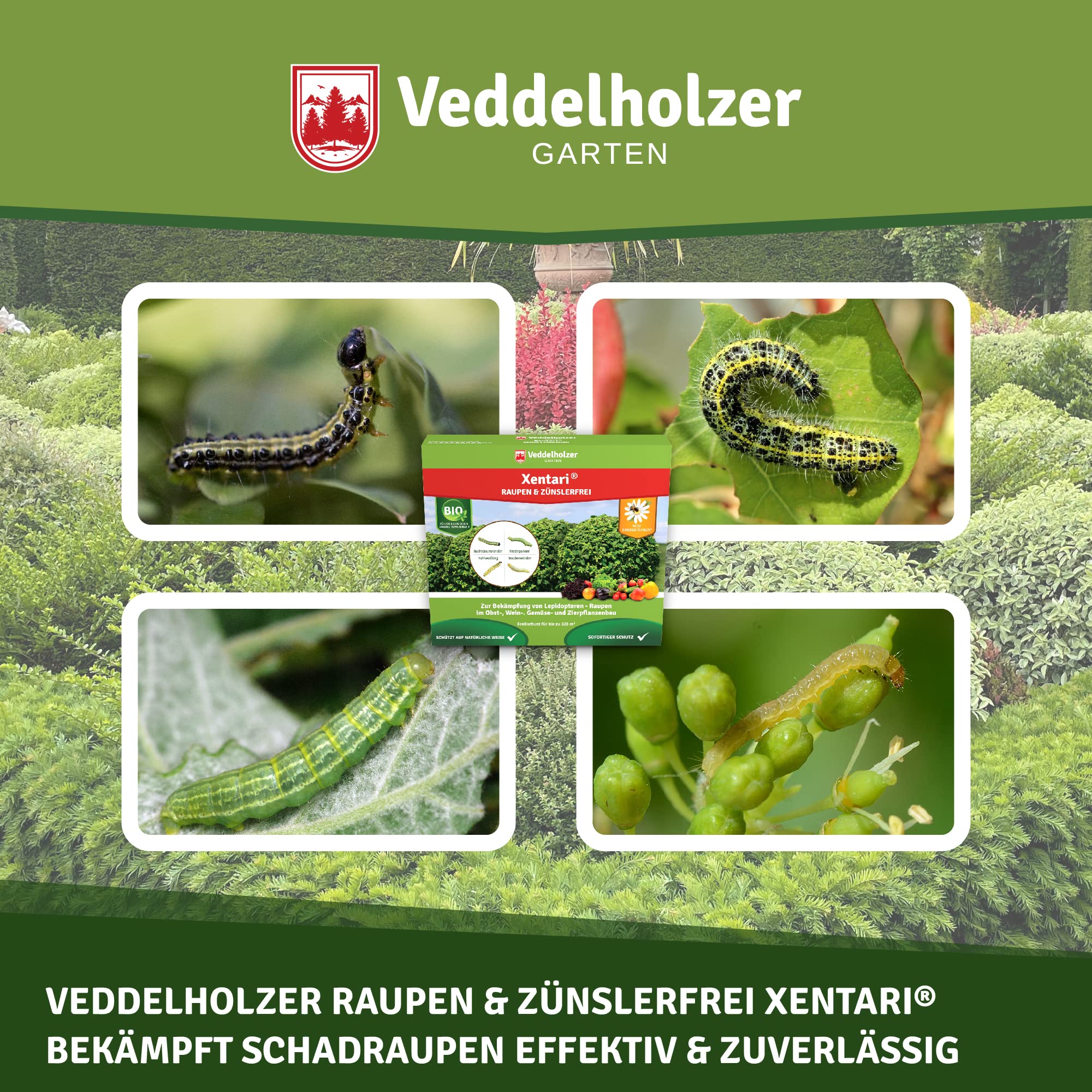 Veddelholzer Xentari® 16 x 2g Raupen & Zünslerfrei gegen Buchsbaumzünsler, Raupen & Schadraupen. Xentari Raupenfrei Buchsbaumzünsler Spritmittel für Bio Landbau geeignet Nicht Bienengefährlich.