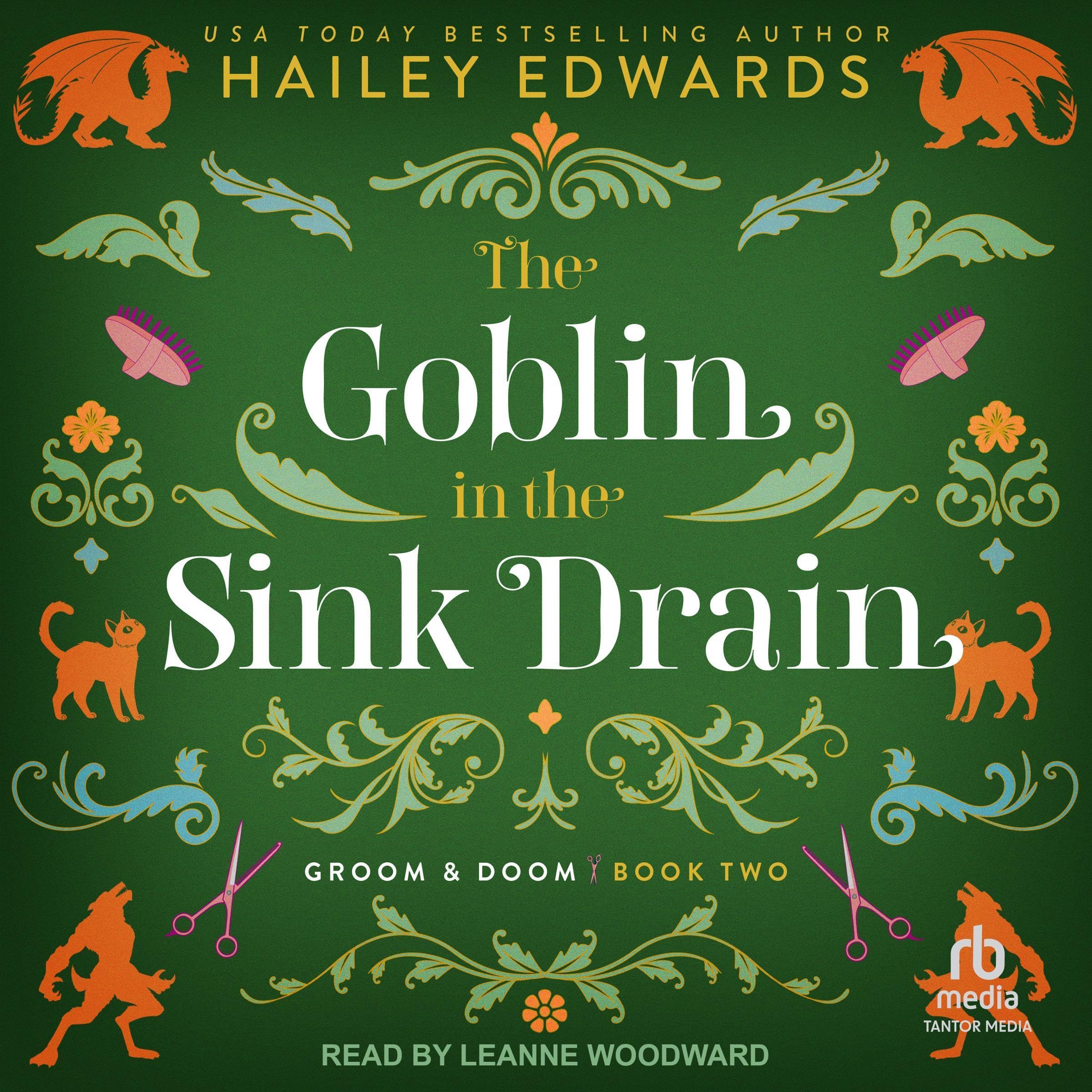 Cover art for The Goblin in the Sink Drain
