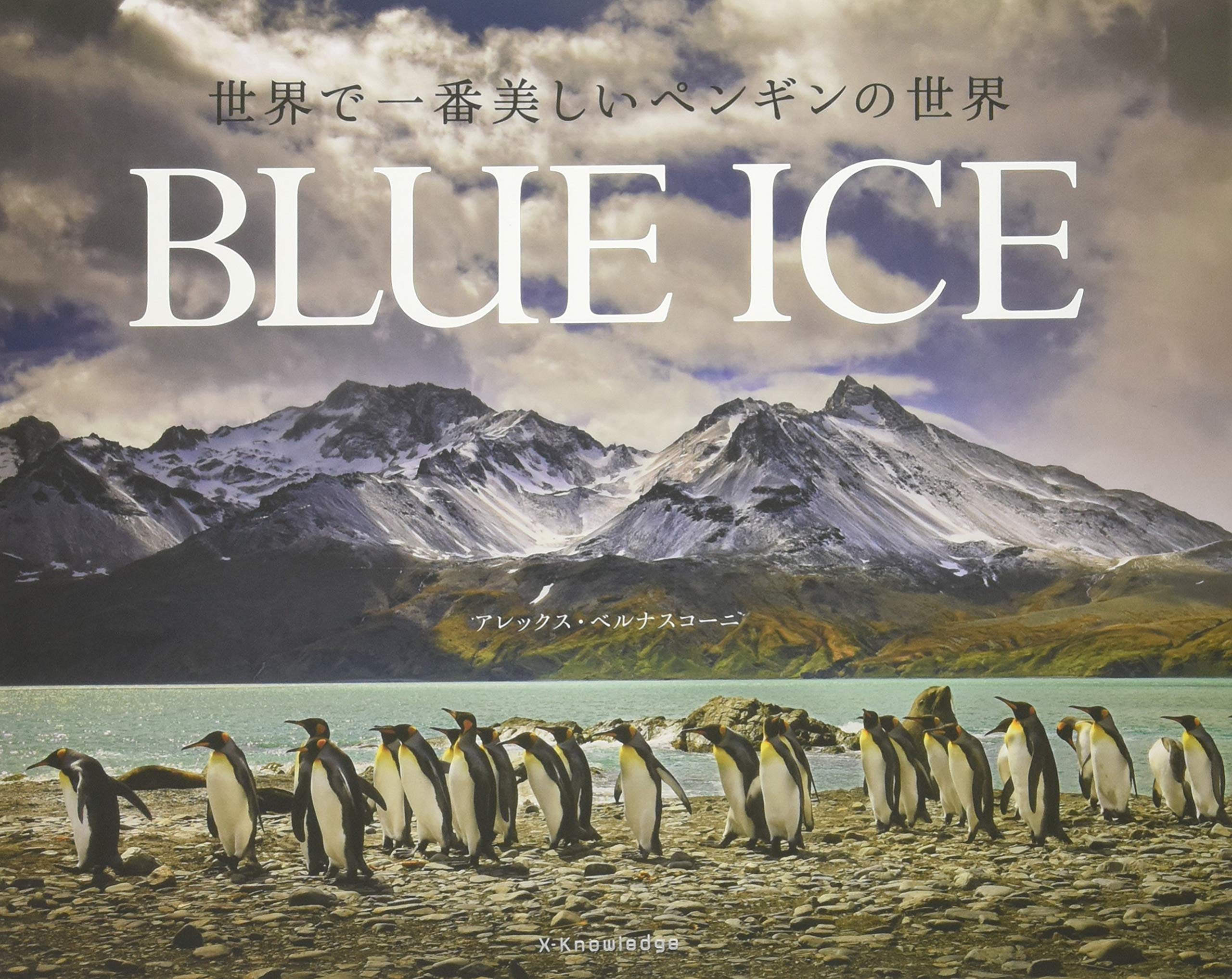 世界で一番美しいペンギンの世界 | アレックス・ベルナスコーニ, 川口