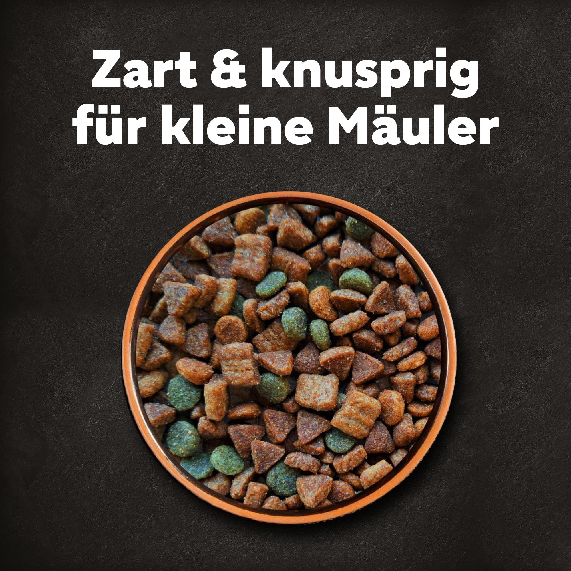 Cesar 5 x 1.4 kg Adult Hundetrockenfutter mit frischem Huhn, Lachs & Gemüse