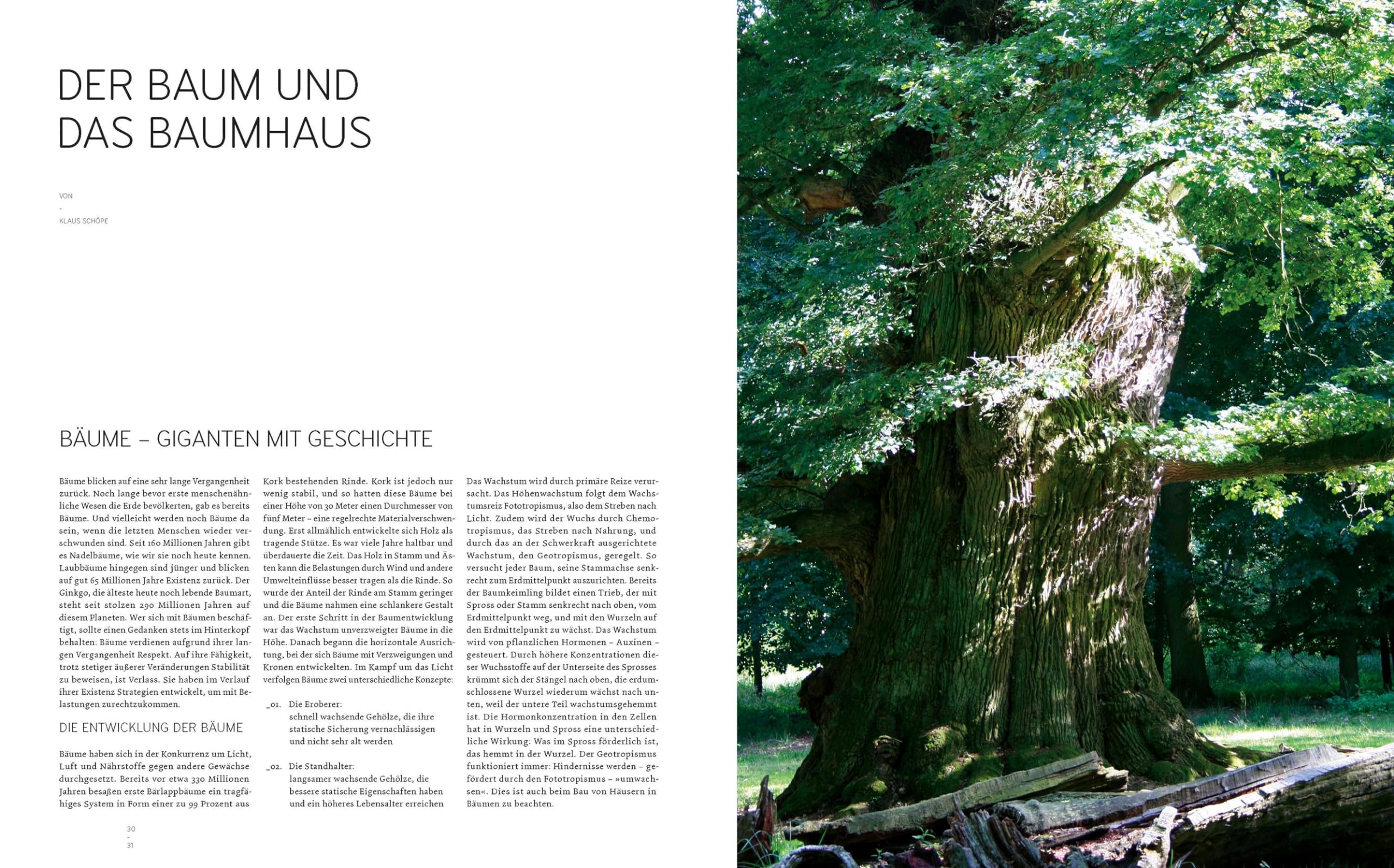 Baumhäuser: Neue Architektur in den Bäumen