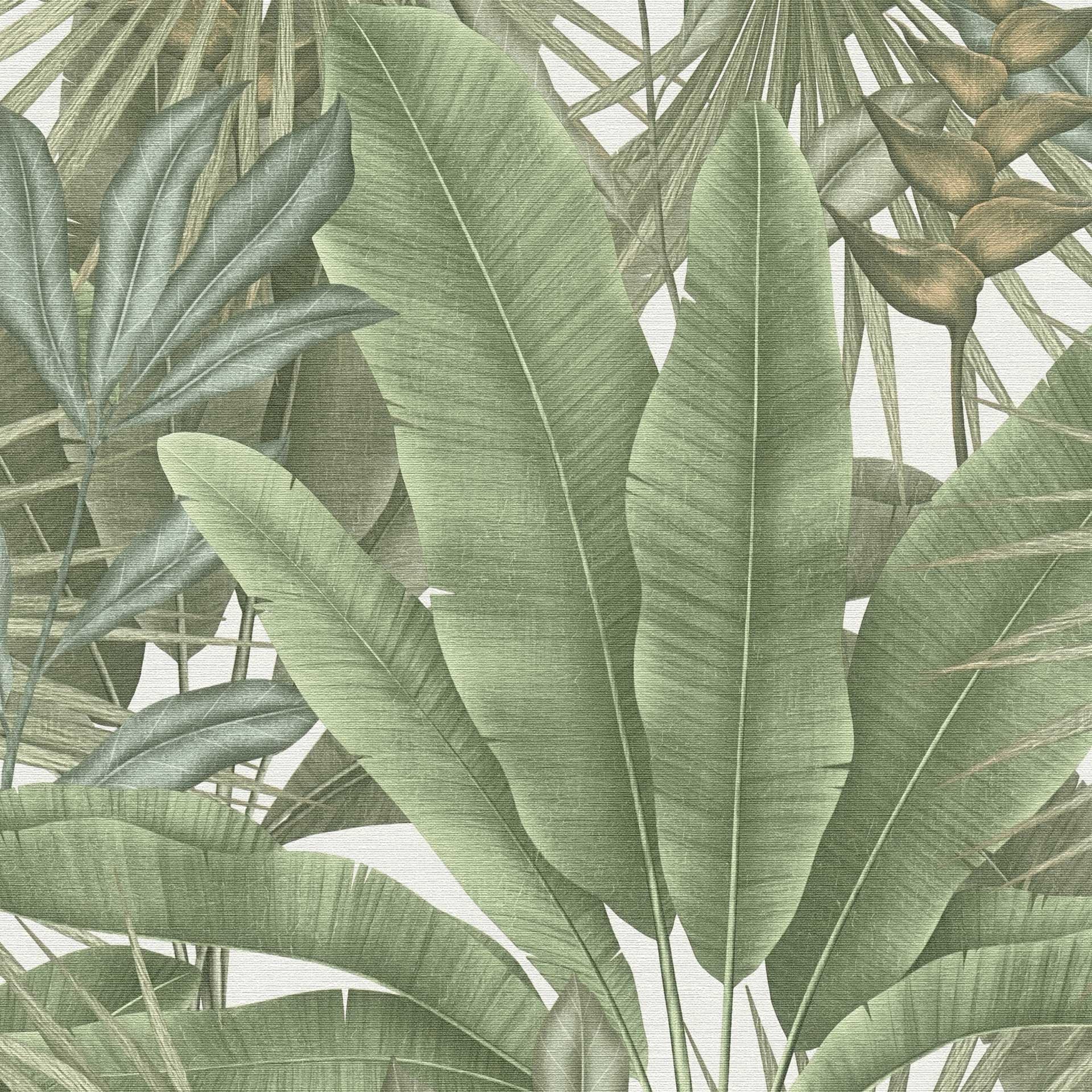 Livingwalls Jungle Papier peint 396472 en vert, crème - papier peint à l'aspect de la jungle - floral avec des feuilles de palmier -de haute qualité sur 10,05m x 0,53m